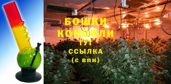 сатива Абаза