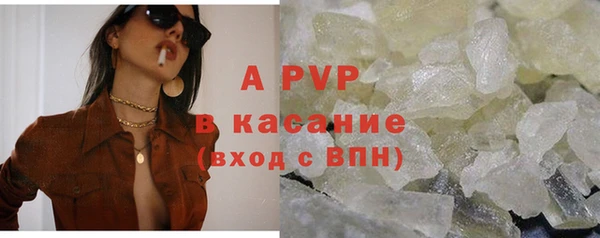 сатива Абаза
