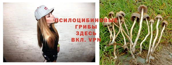 сатива Абаза