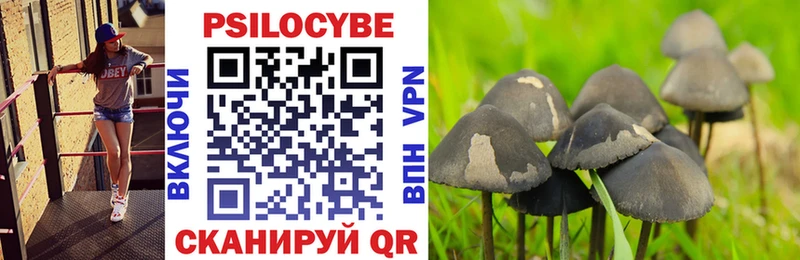 Галлюциногенные грибы Cubensis  гидра зеркало  Руза 