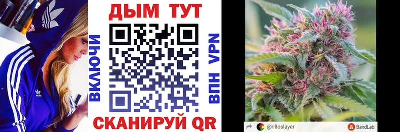 где можно купить   Руза  Конопля ГИДРОПОН 